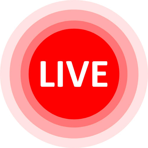 Lilypixel Cam